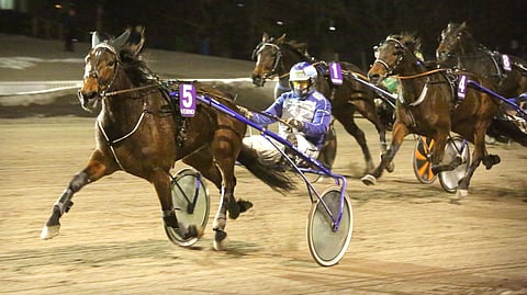 Amazing Player on Toto65-pelin avauskohteessa liki koko matkan johtoa.