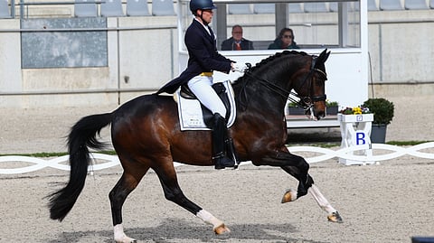 Henri Ruoste oli vuoden paras kouluratsastaja.