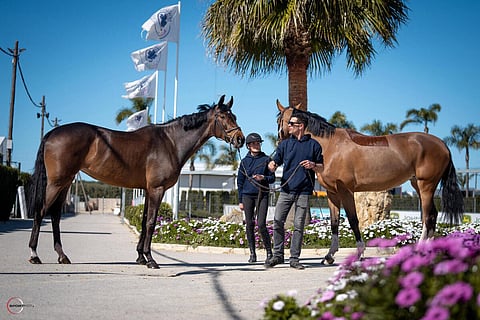 Christelle Littunen ja Emanuel Caetano Sunshine tourilla.