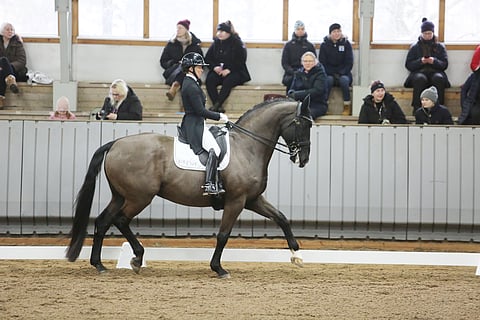 Siiri Kyrö ja Kyrö Hot Flow, talvea ja maneesikelejä kärsimättömästi odotellessa. Ja tietenkin Horse Show'ta.