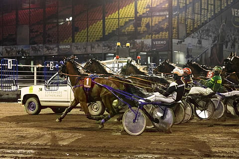 Heli Koski ei kannata raviurheilun tukemista valtion varoista.