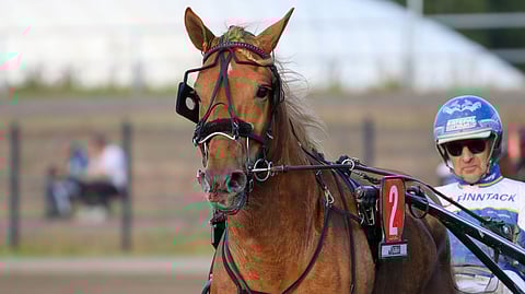 Voitokas Taraori pärjää tauoltakin.