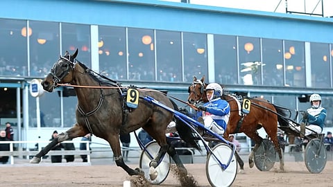 Jorma Kontion ohjastama High On Pepper on Katja Melkon valmennuksessa.