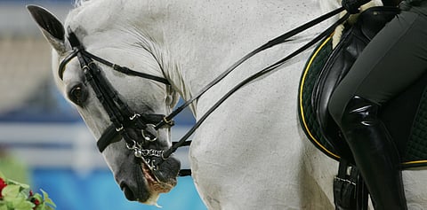 Ei rullausta olympialaisissa, toteaa ranskalainen aktiiviryhmittymä ja myös suomalaiseläinlääkäri Kati Tuomola.