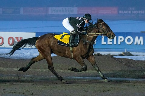 Callela Lionel toi ohjastajalleen ikimuistoisen voiton.