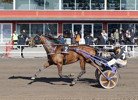 Eihän sellaista hevosenomistajaa olekaan, jolla Vuoden voitokkaimman titteli ole mielessä, jos on tällainen tilanne. Silti mennään järki kädessä. Tänä vuonna ajamme ainakin GLI Grand Prix -karsinnan ja mahdollisen finaalin sekä haastajadivisioonafinaalin Vermossa 21. joulukuuta", Kristian Lella kertoo Impresarion loppukauden kilpailuohjelmasta.