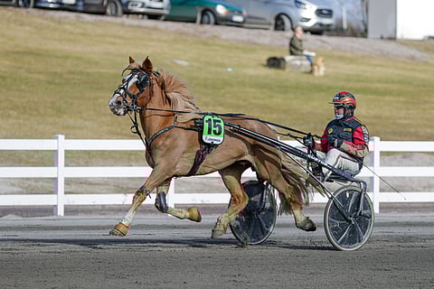 Hissun Turbo ja Tuomas Pakkanen.