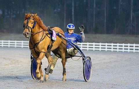Tuurin Tuli on tehnyt Jukka Mattilan käsistä hienon nousun sarjoissaan.