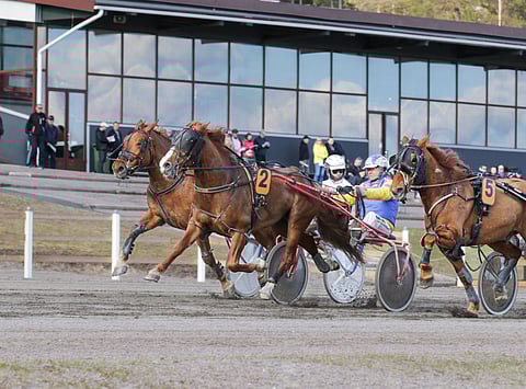 Tatuari tiputti yhtä lukuun ottamatta kaikki Toto75-systeemit.