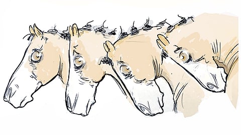 Hyperfleksiota on monenasteista. Mitä äärimmäisempää, sen vahingollisempaa.