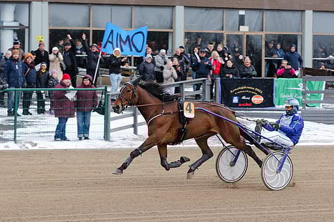 Amazing Playerilla riitti kannattajia viime lauantaina Seinäjoella.