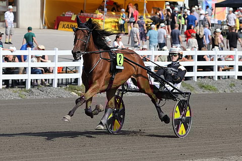 Viime kesänä Edima sijoittui St Michelin Tammatähdessä kakkoseksi Tuukka Variksen ohjastamana.