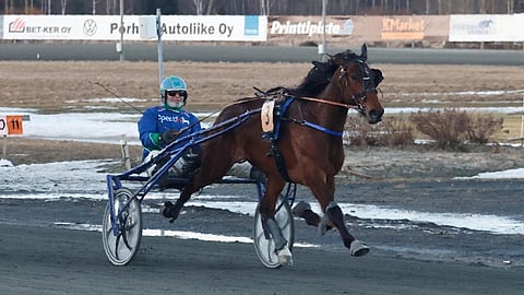 Dont Touch Me teki mahdottomasta mahdollisen.