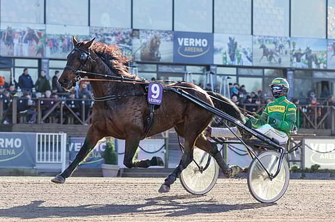 Dozen Of Oysters kilpaili Helsinki-ajossa Jukka Torvisen ohjastamana.