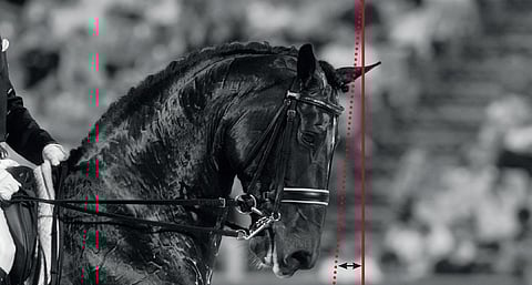 Tässä turpa on hieman luotiviivan takana. Miten isosta virheestä on kysymys?