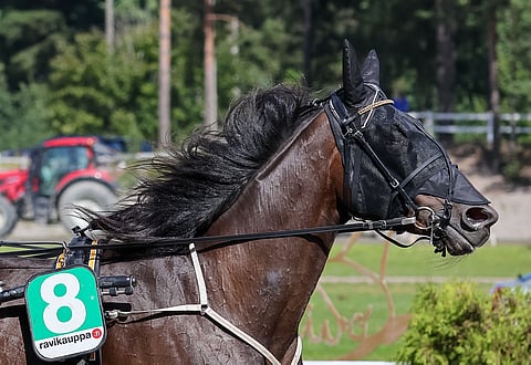 Odin Orden on kiinnostava varma Pilvenmäen keskiviikkoiselle Toto65-kierrokselle.