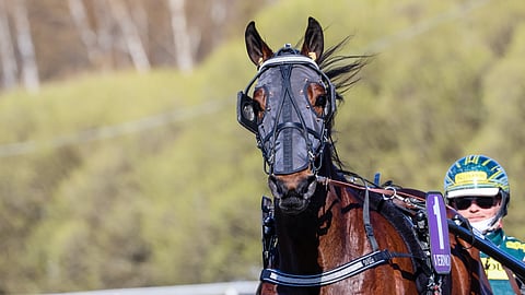 Williamsburg on aloittanut kautensa kahdella nelossijalla.