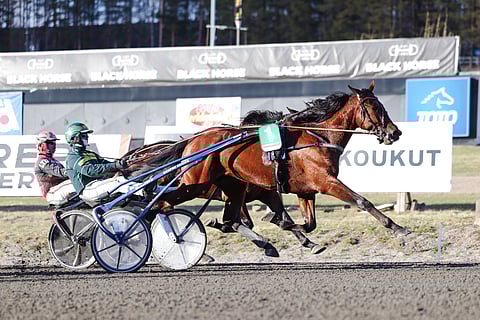 Endurance Boy jatkaa uraansa tappiottomana.