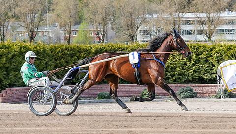 Dozen Of Oysters kilpaili viime keväänä Finlandia-ajossa.