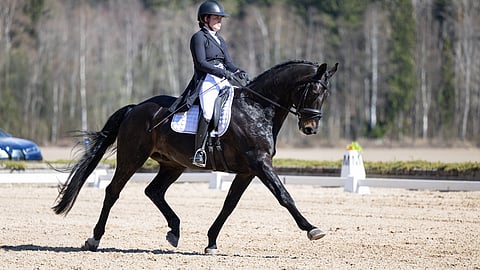 Kangasala sopii Elli Viitalalle ja Woodcroft Rockstarille.