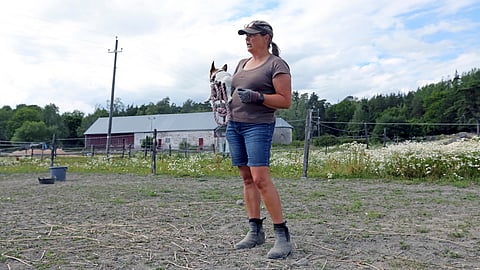 Ratsastuskoulunpitäjä Päivi Savilahti-Bäckman kokee tämän hetken somekirjoittamisen paitsi tarpeettoman aggressiivisena ja maalittavana, myös huonona esimerkkinä aikuisilta nuorille.