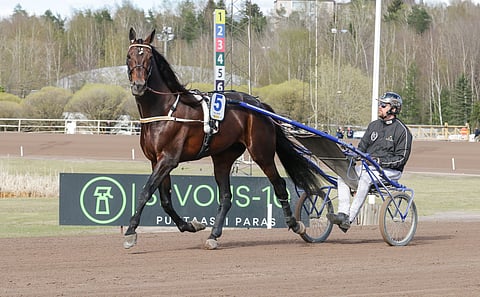 Hail Mary on kultadivisioonan suosikki.