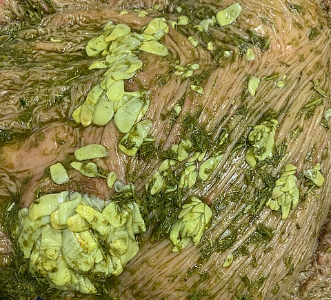 Heisimatoja suolen pinnalla. Heisimato on aikuisille hevosille eniten ongelmia aiheuttava loinen.