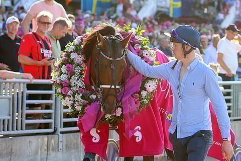 Horsy Dream otti seremoniat rauhallisesti hoitajansa Enzo Ceven käsissä.