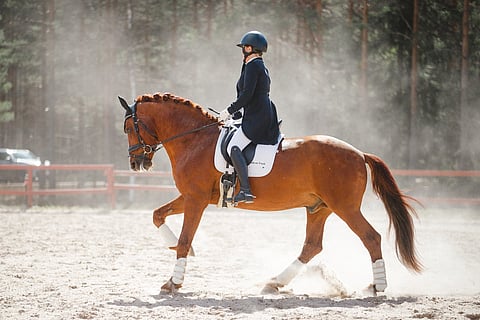Hessin Leevi otti avausstartiksi vaativa A -tasoisen prix st georgesin, mutta entä jatko?