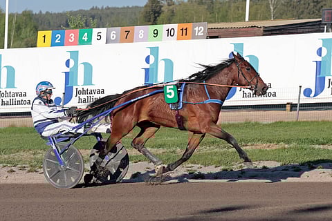 Arctic Estelle on palannut entistä ehompana takaisin kaviourille.