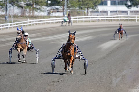Kirjoittaja toivoi ja sai Hippokselta vastauksia rahoituskysymyksiin.
