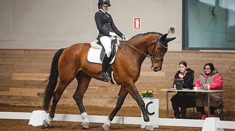 Emma Storey ja Samba Rico starttaavat Ypäjällä kahden tähden paraluokissa.