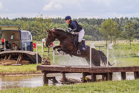 Elogen kansssa vesiesteellä Strömsholmassa.