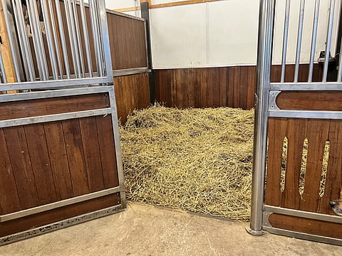 Ryhmäkarsinoihin on sittenkin tulossa siirtymäajat.