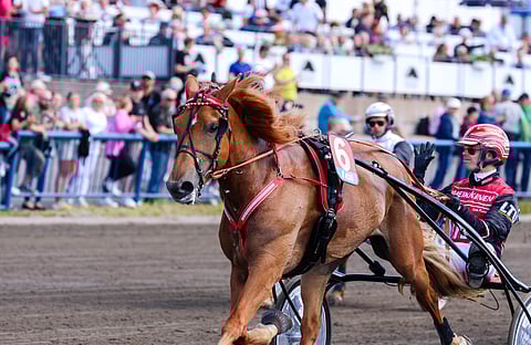 Jockas Rita, ravihevonen, ohjastaja Santtu Raitala