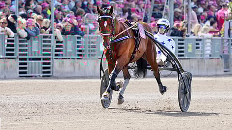 Go On Boy ravihevonen Solvallassa