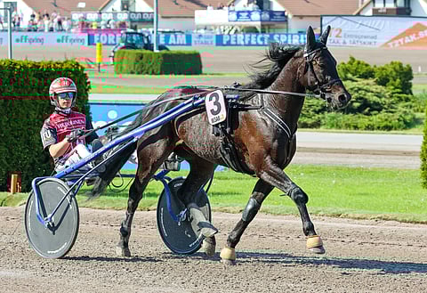 Santtu Raitala ottaa Mikkelissä taas tuntumaa viime kaudella loistavasti menestyneeseen Need'emiin.