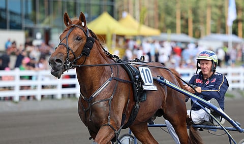Seppo Suuronen kokee, että V.G. Voitto tuntuu samalta kuin vuosi sitten.