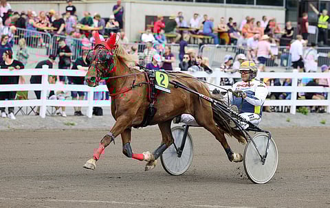 Hyypän Lilja osallistuu kuningatarkilpailuun ensimmäistä kertaa.