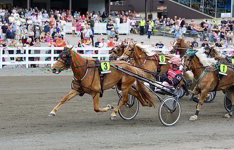 Lumi-Oosan kuski vaihtuu Mikkelin kisasta kuningatarkilpailussa.
