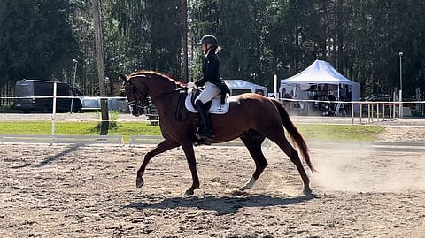 Nyt Don Lucillo mahtuu tekemään sarjavaihdot linjalla.