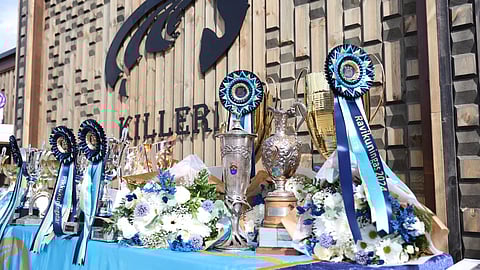 Vuoden 2024 kuninkaallisia juhlitaan sunnuntai-iltapäivän päätteeksi.