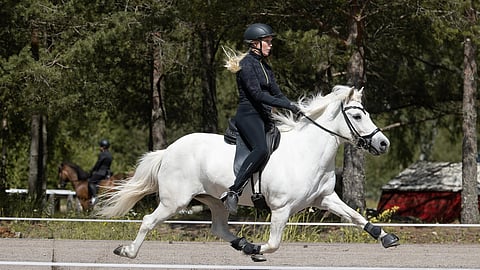 Gerda-Eerika Viinanen ja Svala frá Minni-Borg taistelevat jälleen mitaleista speedpassissa.