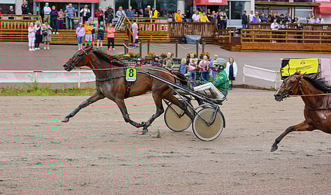 Fabiana Hoist ei ole myynnissä.