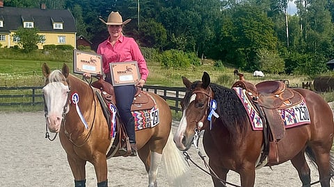 Astikainen molempien ratsujensa, Gun Secoriman ja Antarismartinin kanssa.