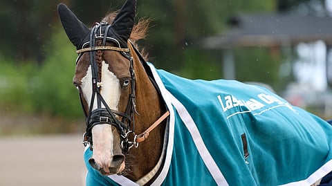 Tangen Ove selvisi rytäkästä pienin vaurioin.