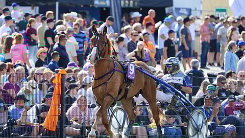 Paavolan Hurmos on Vale-Ellin kanssa ikäluokan toinen tähti.