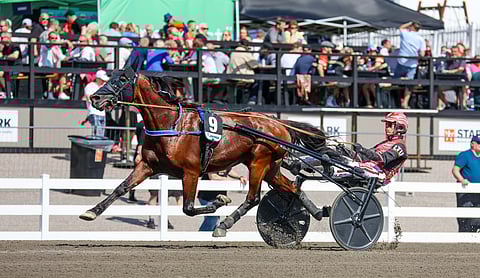 Main Stage, Santtu Raitala