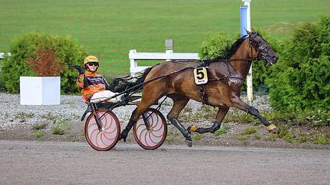 Kerry’s Power nousijadivisioonakarsinnan murskavoittajana 10. elokuuta kotiradallaan Teivossa.