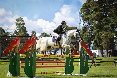 Casino Aulanko, Salla Varentin Breeders-voittaja.